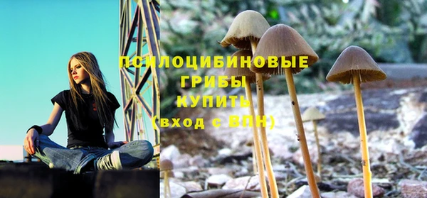 ALPHA PVP Балабаново