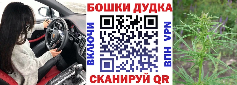 Бошки Шишки гибрид  Кубинка 